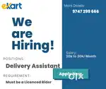 Delivery Assistant