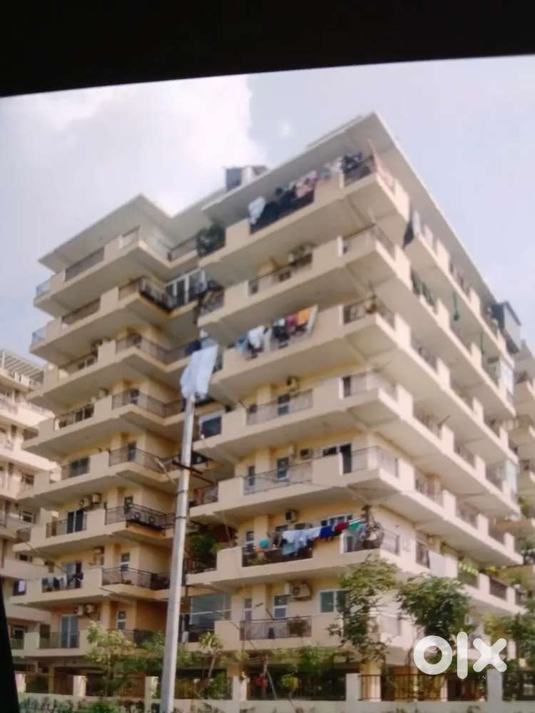 Real estate office Girl Staff required