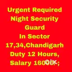 Night Security Guard Job Sector 22,Chandigarh