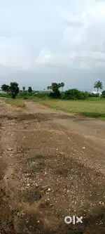 Low budget land only