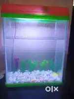 Fish tank for sale