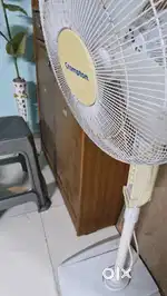 Table  fan