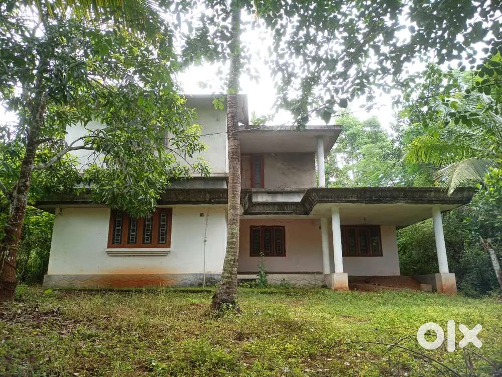 28 Scent Plot And House For Sale At Puthuruthy.