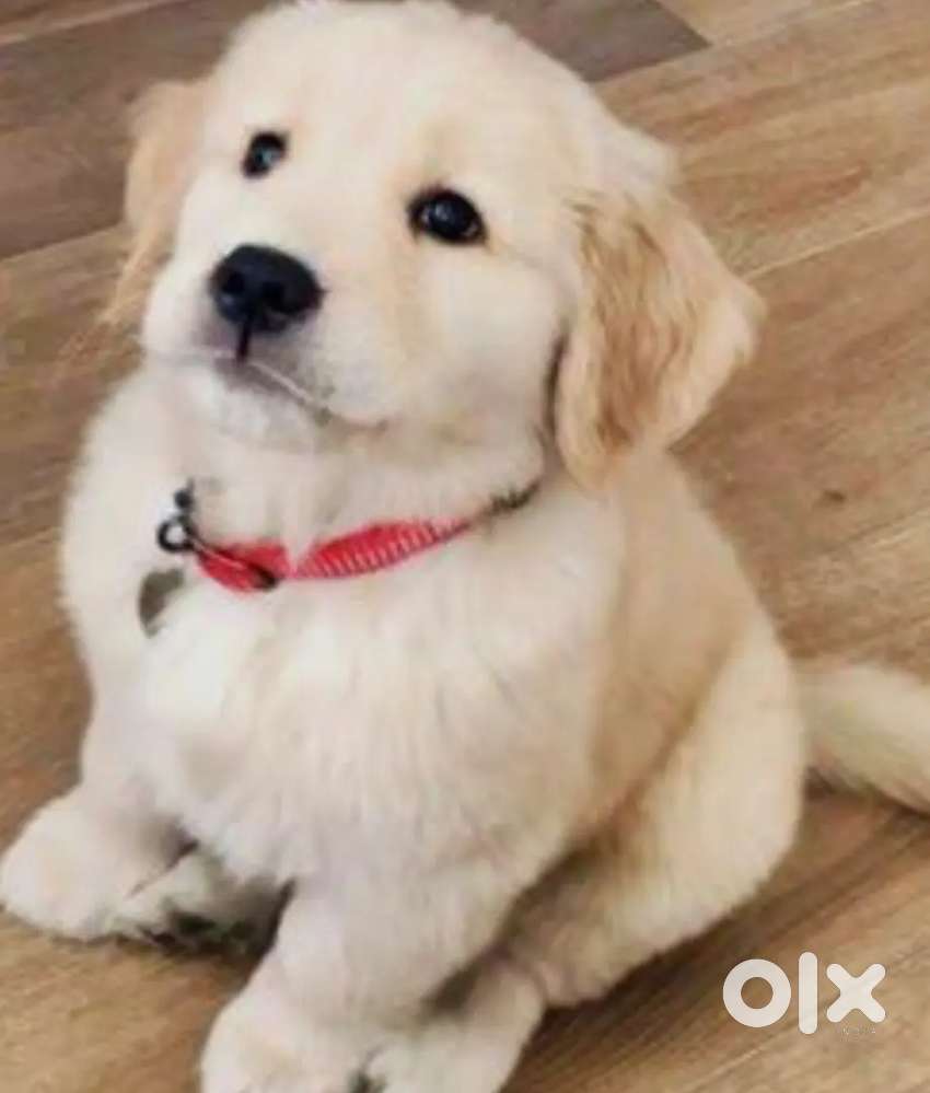 Shop sales only girls