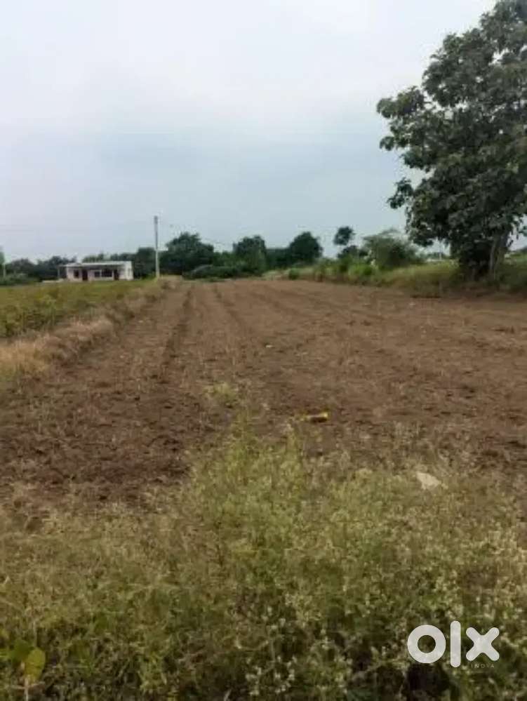 Urgent wanted to sell the Open land 15 cents
