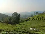 Vagamon uluppunni 10 AC LA Pattayam Land for sale