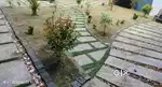 Lawn maintenance & grass cutting work
