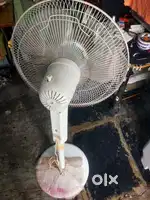 Bajaj Stand Fan