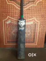 Hard plastic cricket bat