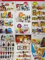DSM INDUSTRY Online/offline work