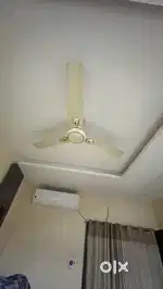 Ceiling fan