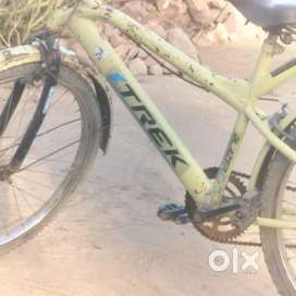 Trek model 2024