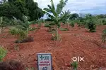 Weekend Home with Organic Managed Farm Landjust 349 Ready Registration