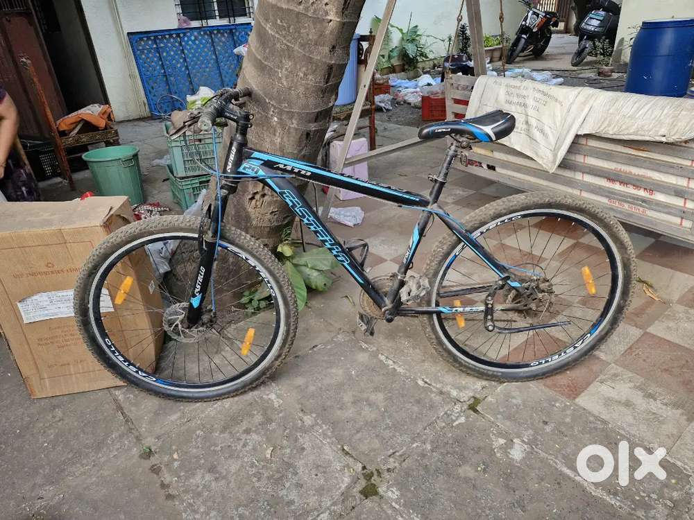 7×3 gears,  29 castello cycle