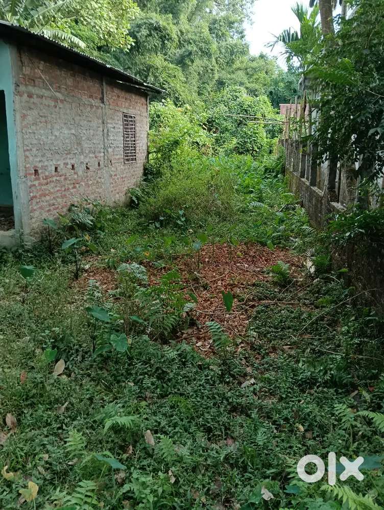 2 KATHA MYADI LAND SALE NAHARKATIA
