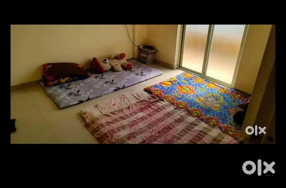 2 girl roommate required