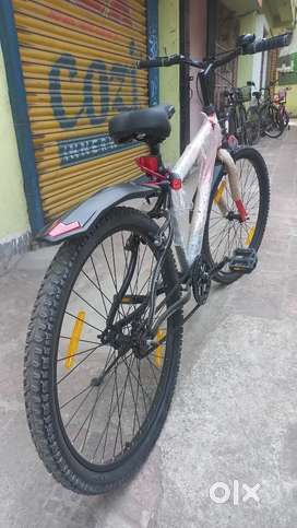 Lifelong Bicycle