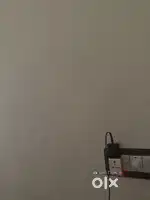Driver cum personal assistant