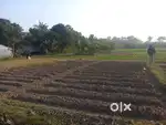 1Bigha to 2Bigha FARMLAND available for sale at Gabberia Khiristala