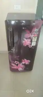 LG fridge and Bosch washing machine