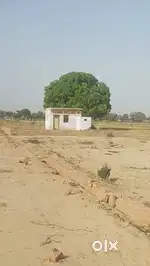 Plots available for sale near Banke Bihari mandir