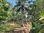 Excellent highway land  near Haripad
