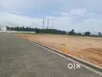 Karpagam college near Low Budget Dtcp Plot Sale