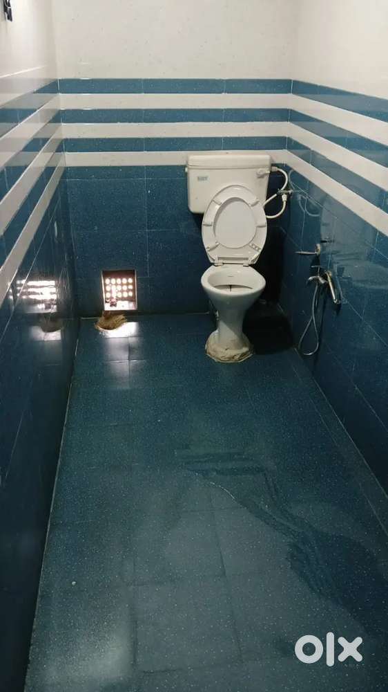 Need a girl roommate for sharing