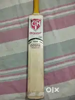 English Willow Sg sunny gold