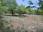Panneer madai near Farm land