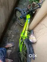 Small bicycle