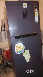 Double Door D2 Fridge