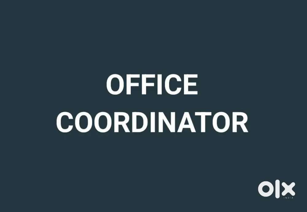 NEEDED OFFICE EXECUTIVE ( 4 VACCANCY)
