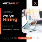 Social Media Executive
