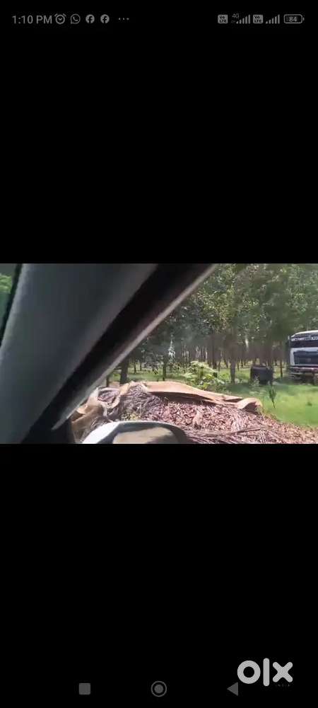 10 Kanal Agriculture land for Sale in Village Rail Majra