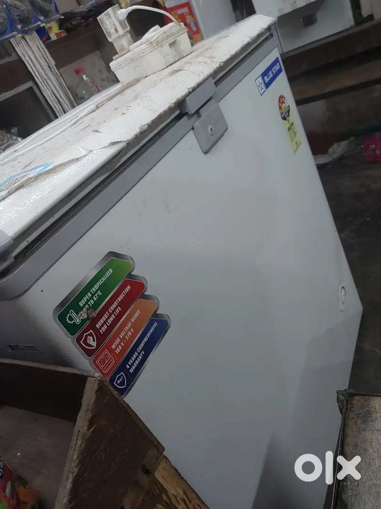 Blue Star Deep Freezer