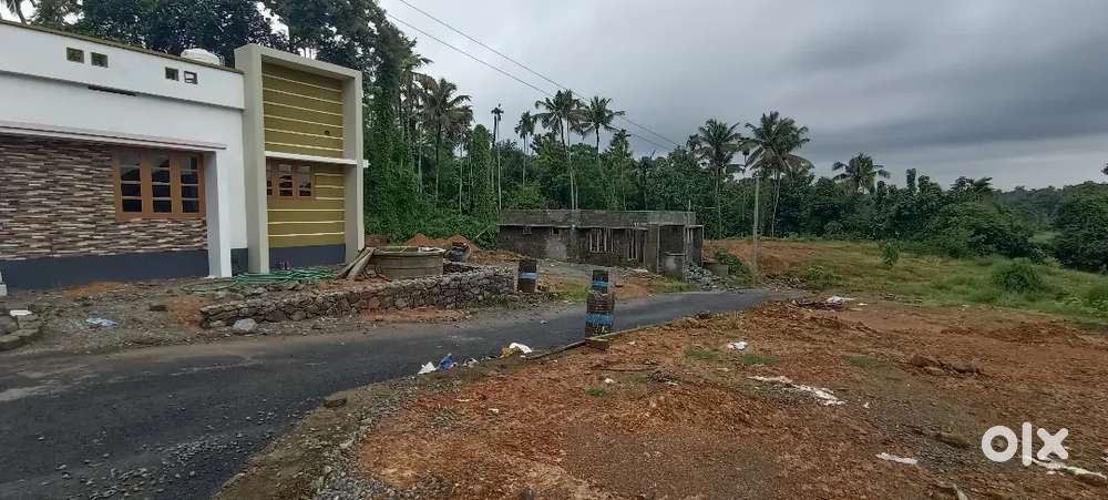 Angamaly Pulyanam 5,6,8,10, cent plots available