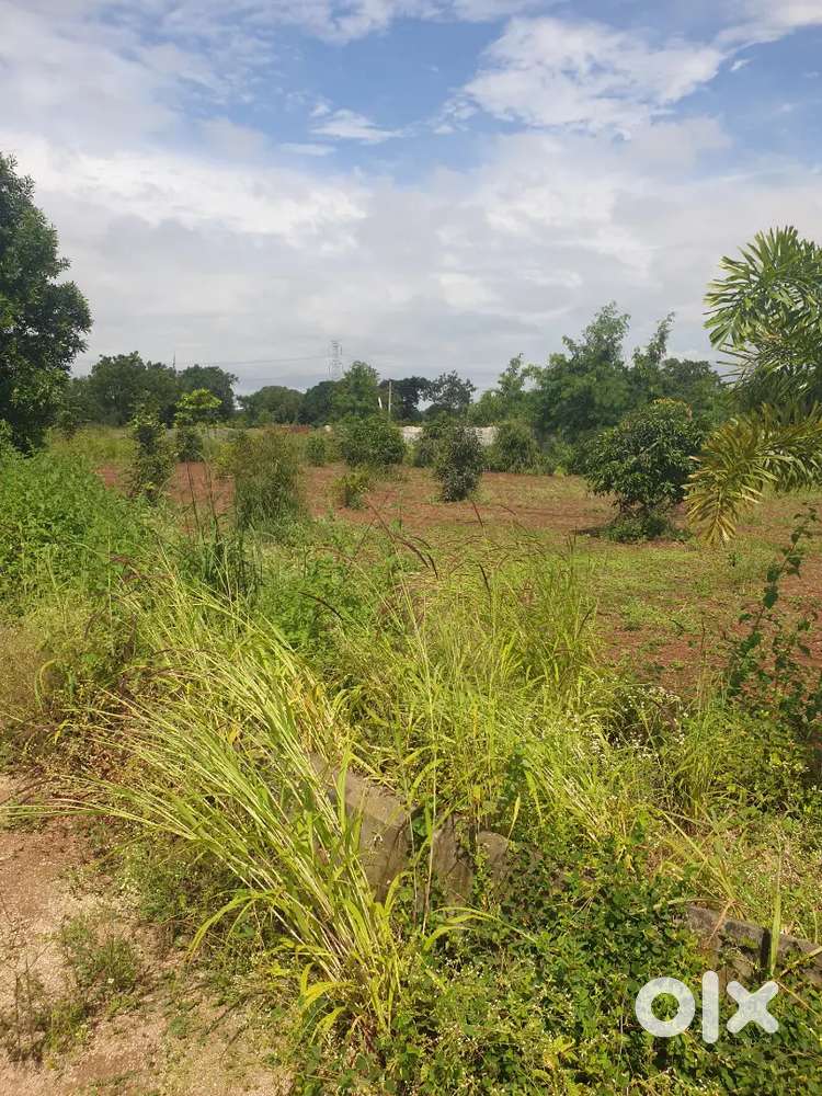 Open plot on sale, best price at the prime location