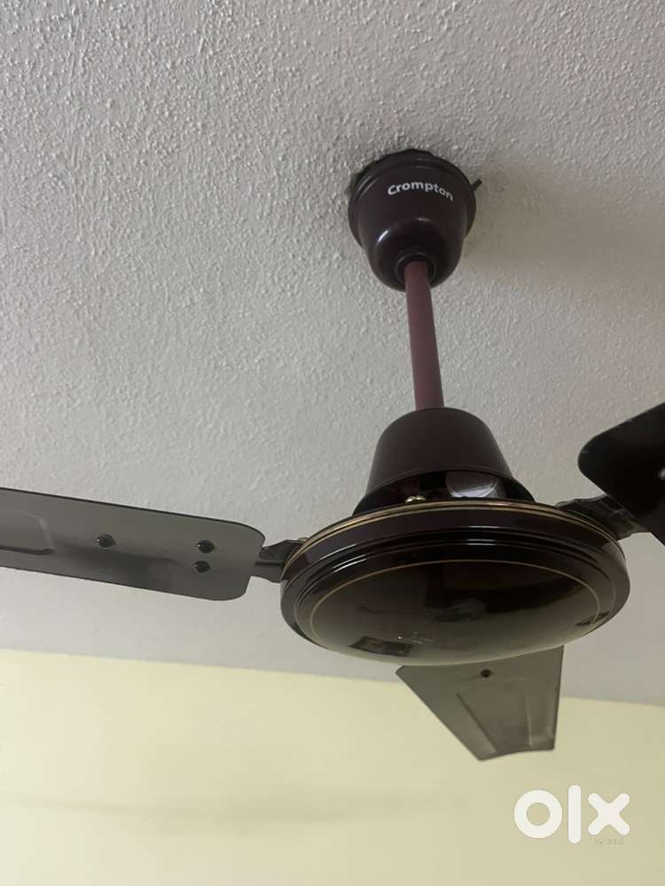 Crompton High speed fan
