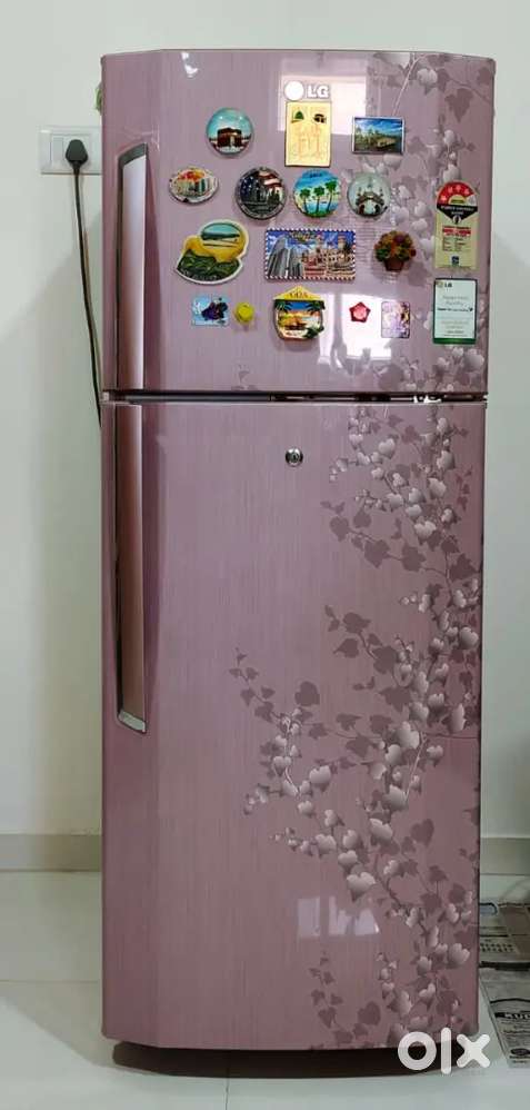LG Double Door fridge