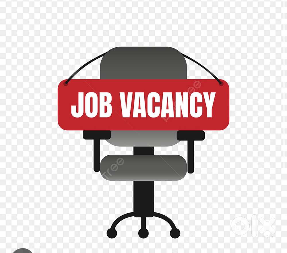 Must have good communication skills and customer handling