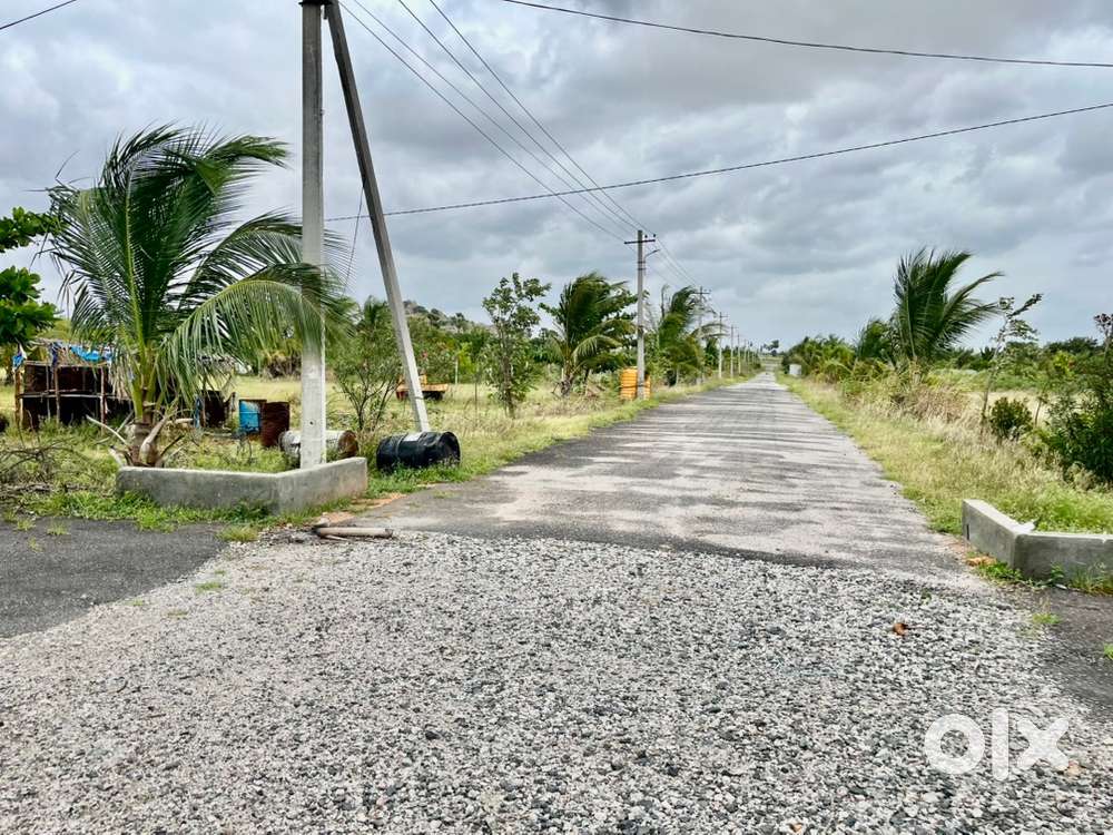 Farm land near Anantapur