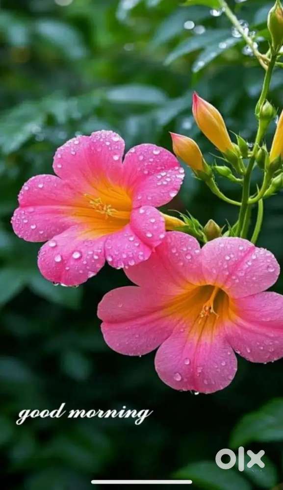 All type job available