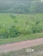Want to sale ready to move plot
