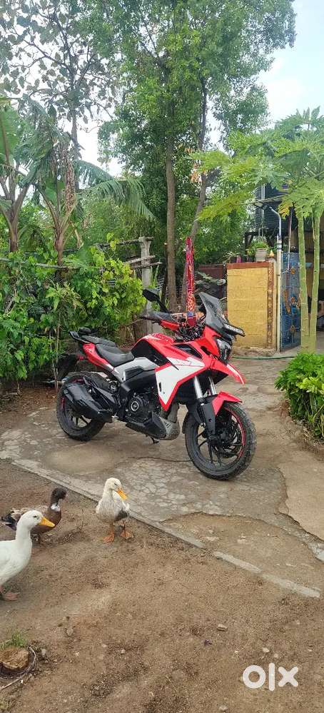 Full modified dominar 250