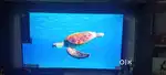 Bpl tv 43 inch