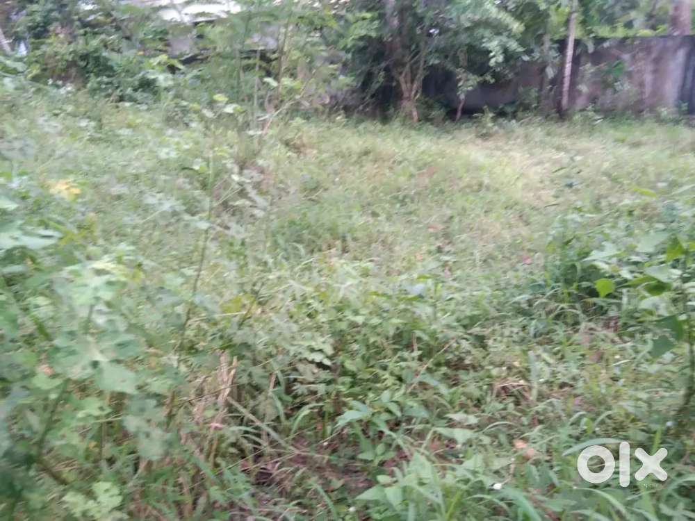 12 cents of residential property in cherthala