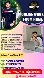 Digital Marketing (Online Work)
