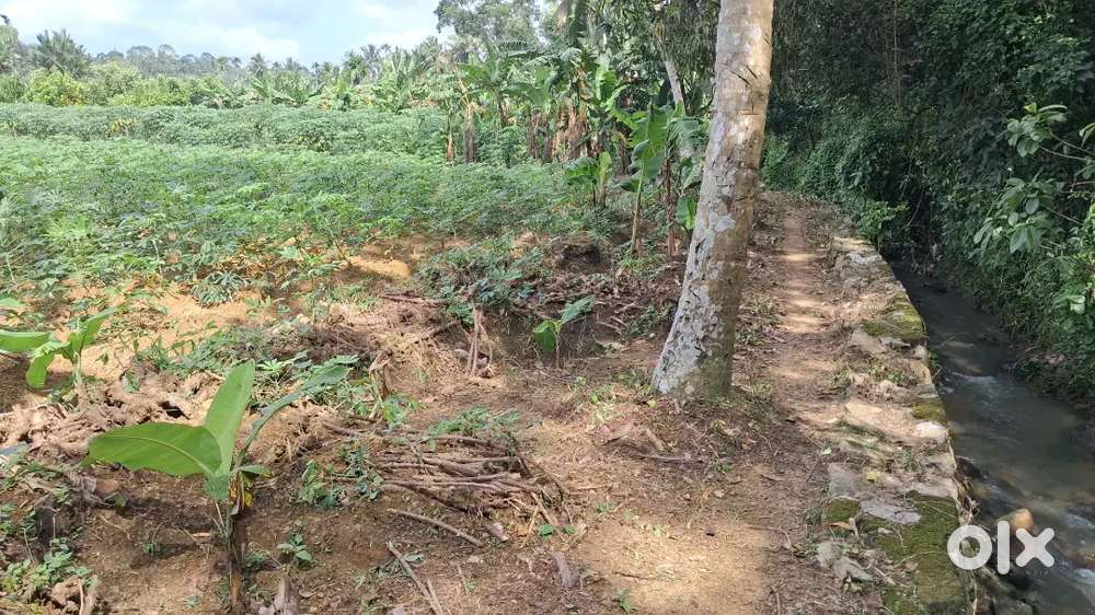 Land suitable for agriculture is for sale