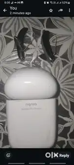 Hearing aid